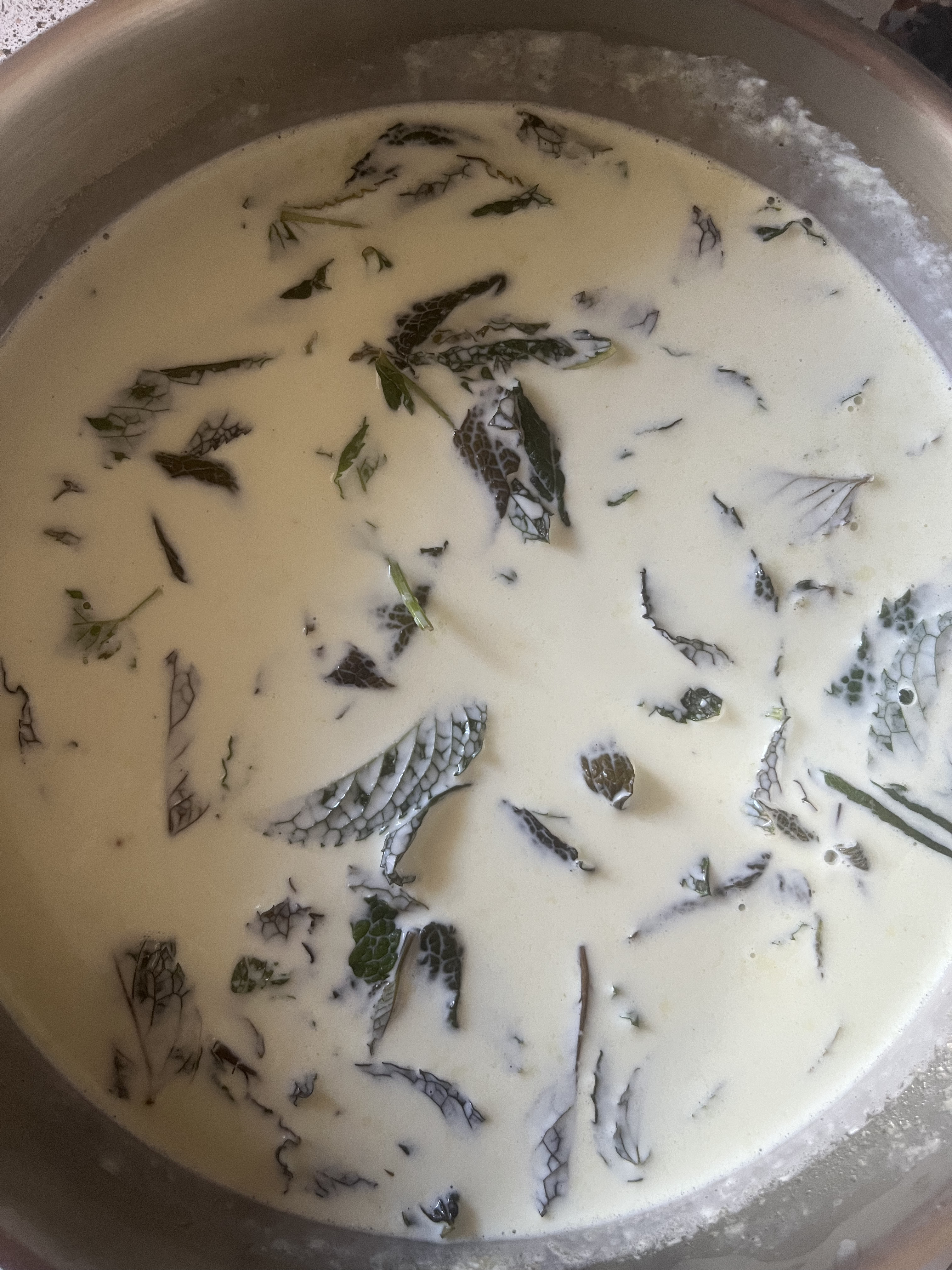 Ice cream base with mint leaves after cook