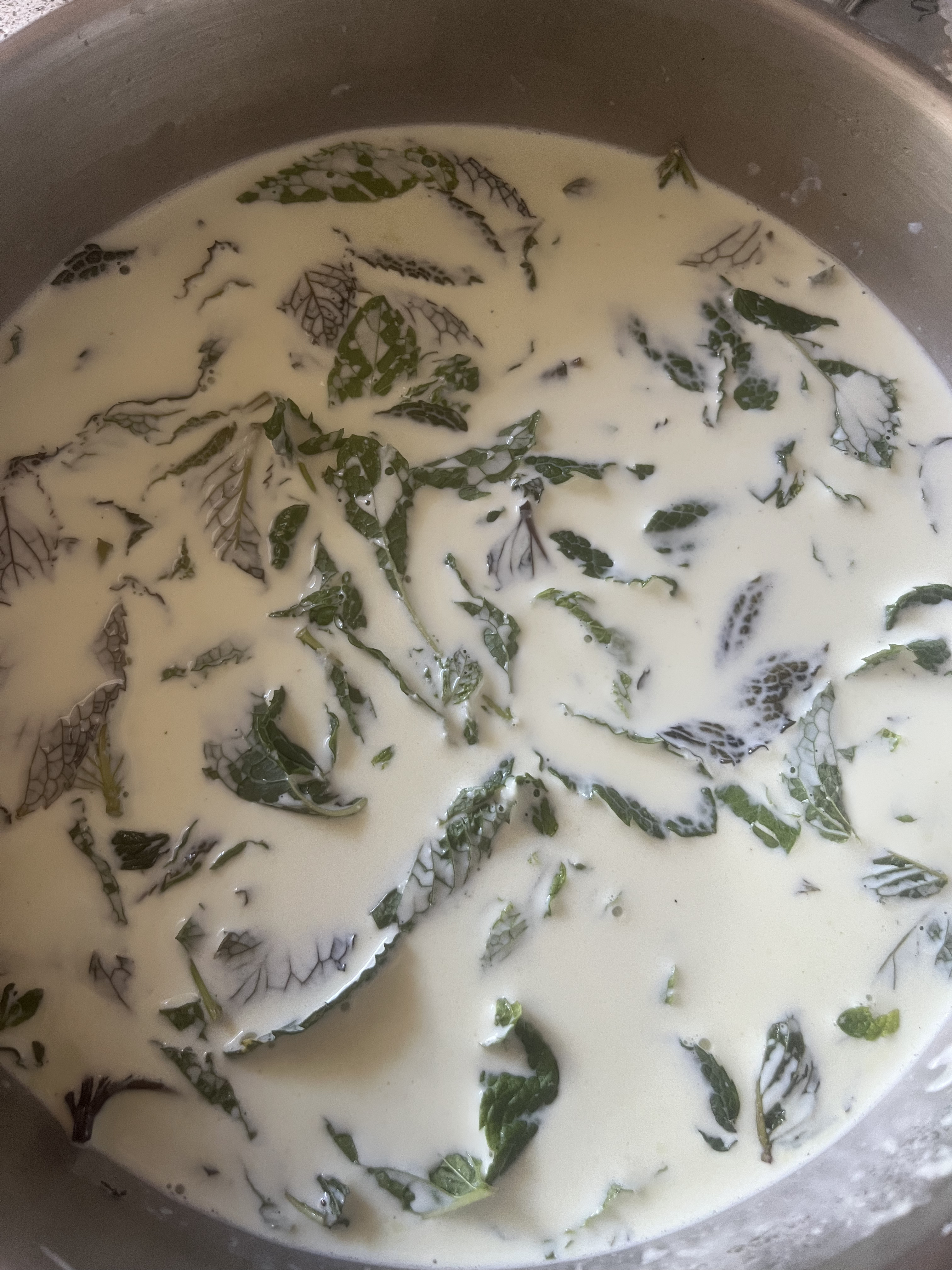 Ice cream base with mint leaves before cook